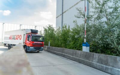Maximizing Truck Safety in the Yard: Strategies and Solutions
